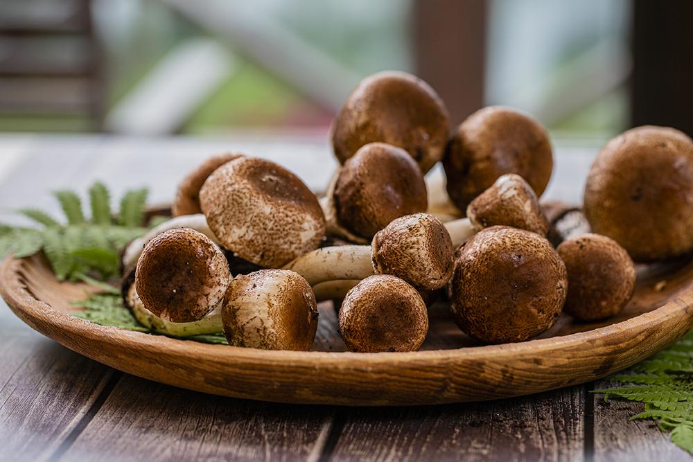 6 Studies That Show Agaricus Blazei Murill May Benefit Your Health
