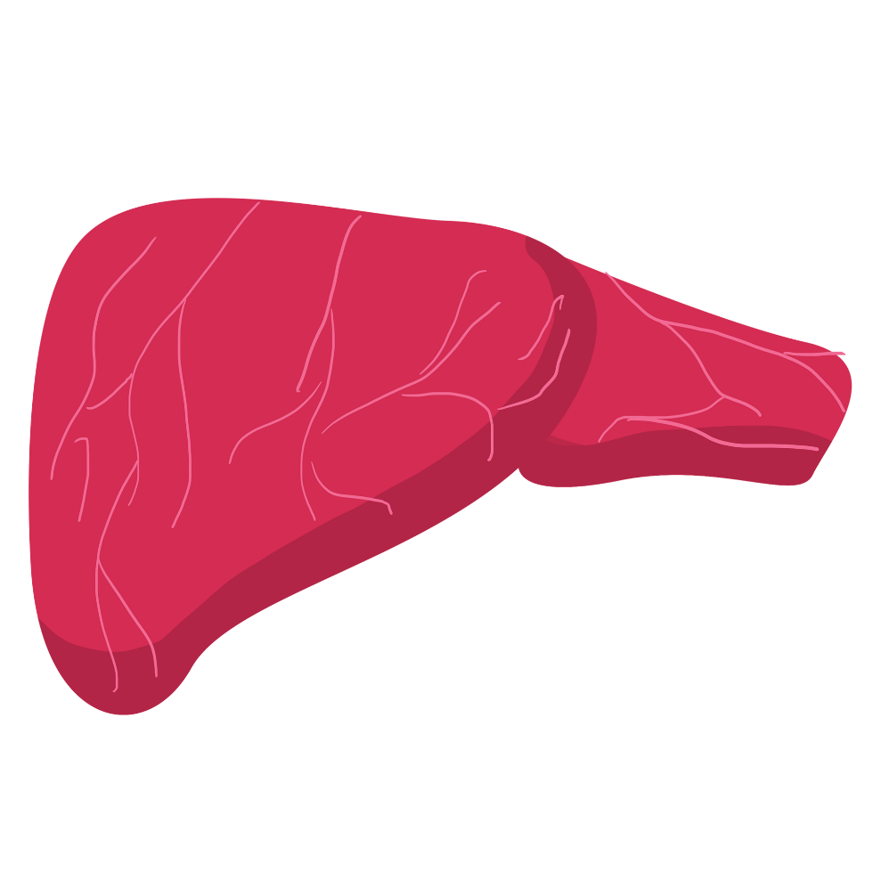 What is Hepatitis?