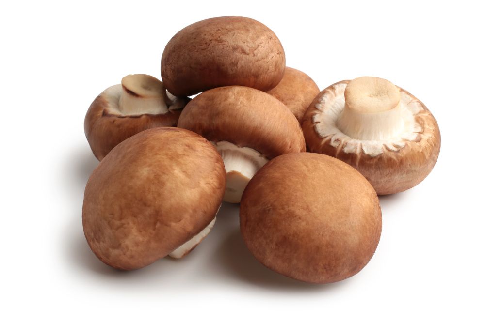 Is Agaricus Mushroom Safe?